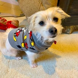 Mickey Mouse Dog sweater